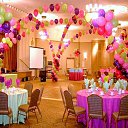 ���� ���, �����-���������, 43 ���� - ��������� 1 ������� 2016 � ������ �������� �������