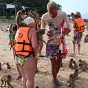 ���� ������, ����, 58 ��� - ��������� 20 ������ 2016 � ������ ������ �� �������