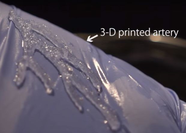  3D-    .      ...