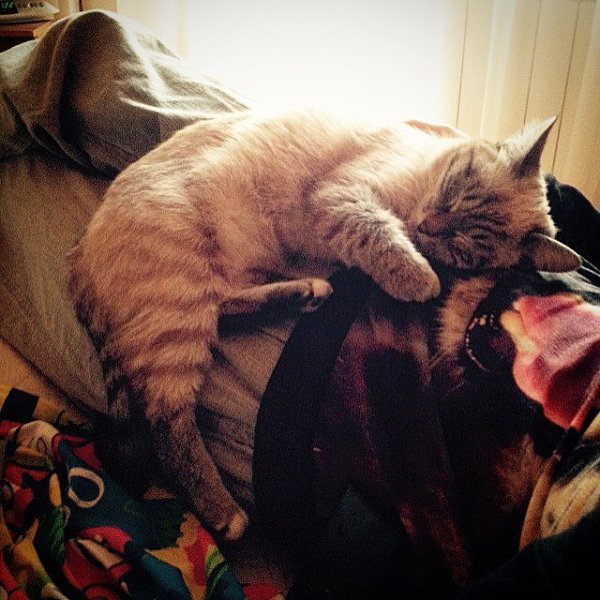  . 15  2014    ,          ... - 8