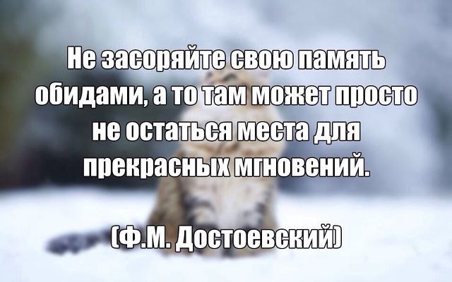 ? ,  ! - 23  2016  08:26