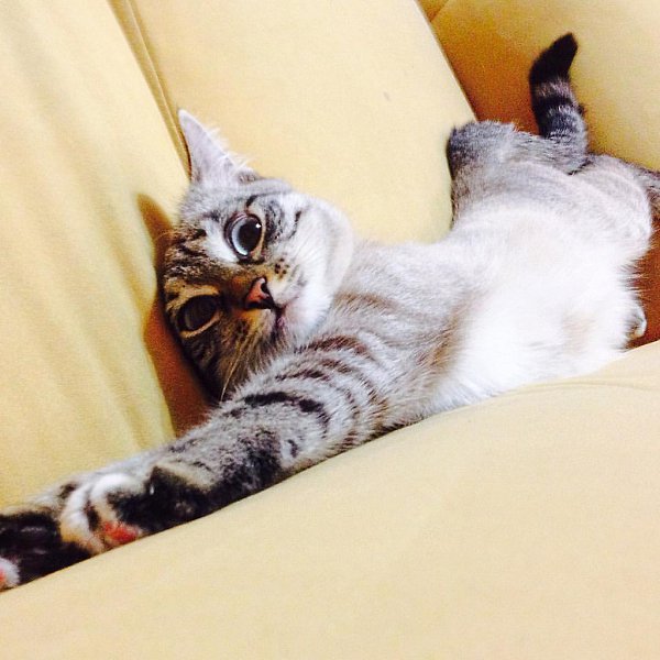  . 15  2014    ,          ... - 6