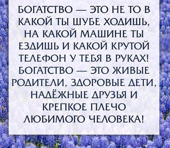   - 8  2016  10:37