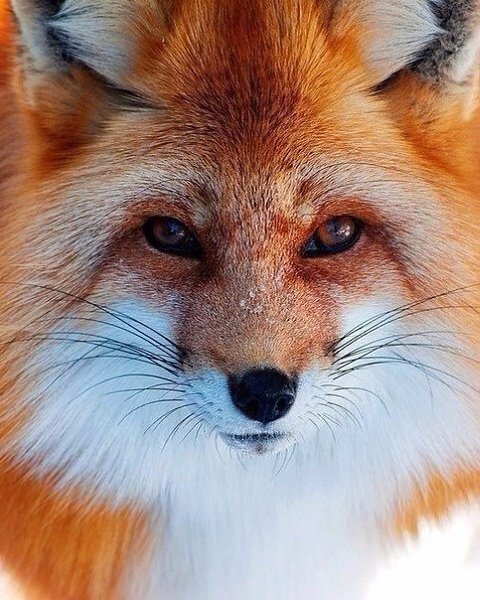   - 23  2016  02:59 - 4