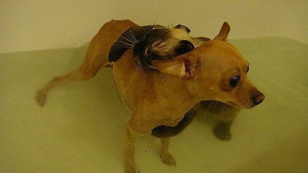 ��������� ���� �������� � ����