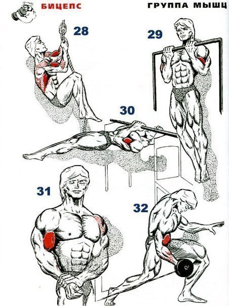 32   ,   !)