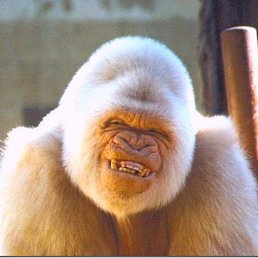 ���� �����, �����, 35 ��� - ��������� 19 ������ 2015