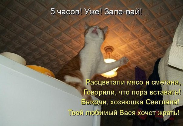       - 20  2015  12:31