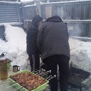 ���� �����, �����������, 56 ��� - ��������� 1 ������ 2016 � ������ ���� ����������