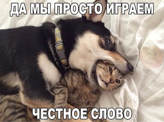       ,  ,   ...