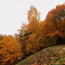 ���� �����, �����, 64 ���� - ��������� 9 ������ 2015 � ������ ��������� ����. 25.10.2015�