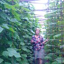 ���� ������, �����-��������� - ��������� 2 ������� 2015 � ������ ���� ����������