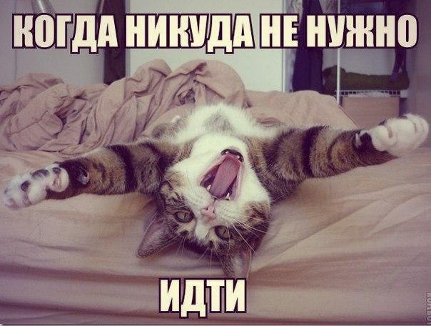   =)