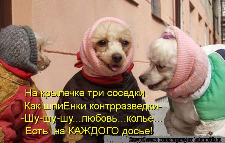   ,    -      ! :)))