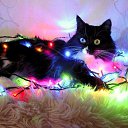 ���� Evgeni., �����, 36 ��� - ��������� 12 ������ 2016