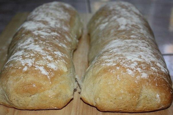   .   . (. ciabatta)    , ... - 2