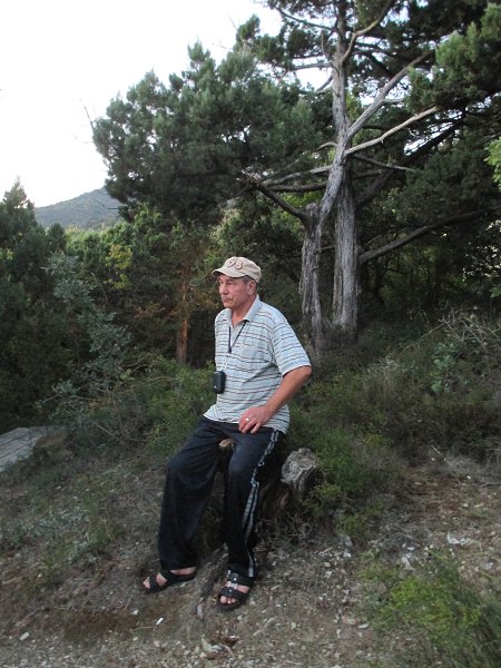 : dmitrii, 67 ,      