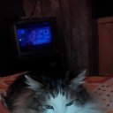 ���� Nataly, ������ ��� - ��������� 9 ������� 2015 � ������ ���� ����������