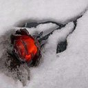 ���� �������, �������, 44 ���� - ��������� 27 ������� 2015 � ������ ������ ��������