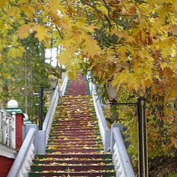 ������-��������� ���������. �������� � ����!