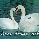 ���� ������, ������ ����� - ��������� 23 ������ 2015 � ������ �������� ��������