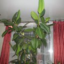 ���� �����, ���� - ��������� 3 ������ 2015 � ������ �� ����! )))�