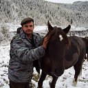 ���� ����, �������, 57 ��� - ��������� 26 ������ 2016 � ������ ���� ����������