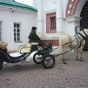  -   !,  -  9  2016   8  2016