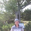 ���� �������, ������, 38 ��� - ��������� 6 ����� 2016