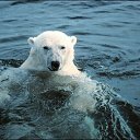 ���� ������, ������������, 32 ���� - ��������� 10 ������ 2016 � ������ �Xxx�