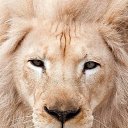 ���� ����, �������, 42 ���� - ��������� 2 ������� 2015 � ������ ���� ����������