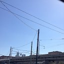 ���� ��, ������, 43 ���� - ��������� 14 ������� 2016 � ������ ���� ����������