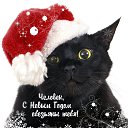 ���� �����, ������ - ��������� 31 ������� 2015 � ������ ������ ��������