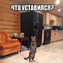  Ը, , 47  -  6  2016   