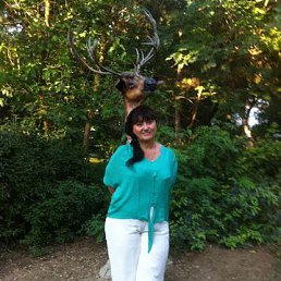 �������, ��������, 61 ���