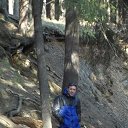 ���� ������, ������������, 49 ��� - ��������� 2 ������� 2015 � ������ ���