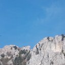 ���� �������, �����, 61 ��� - ��������� 4 ������ 2016 � ������ ���� ����������