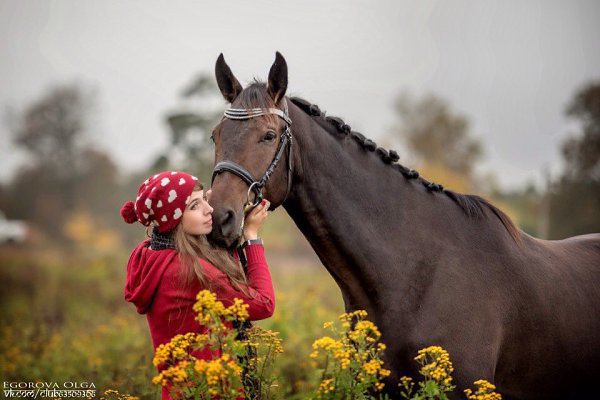 Love story   . [id313846| ] - 5