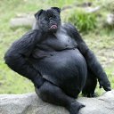 , , 41  -  7  2016      fotiko.ru