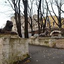 ���� ��������, ������ - ��������� 5 ������� 2015 � ������ �������� ������� ���ۻ