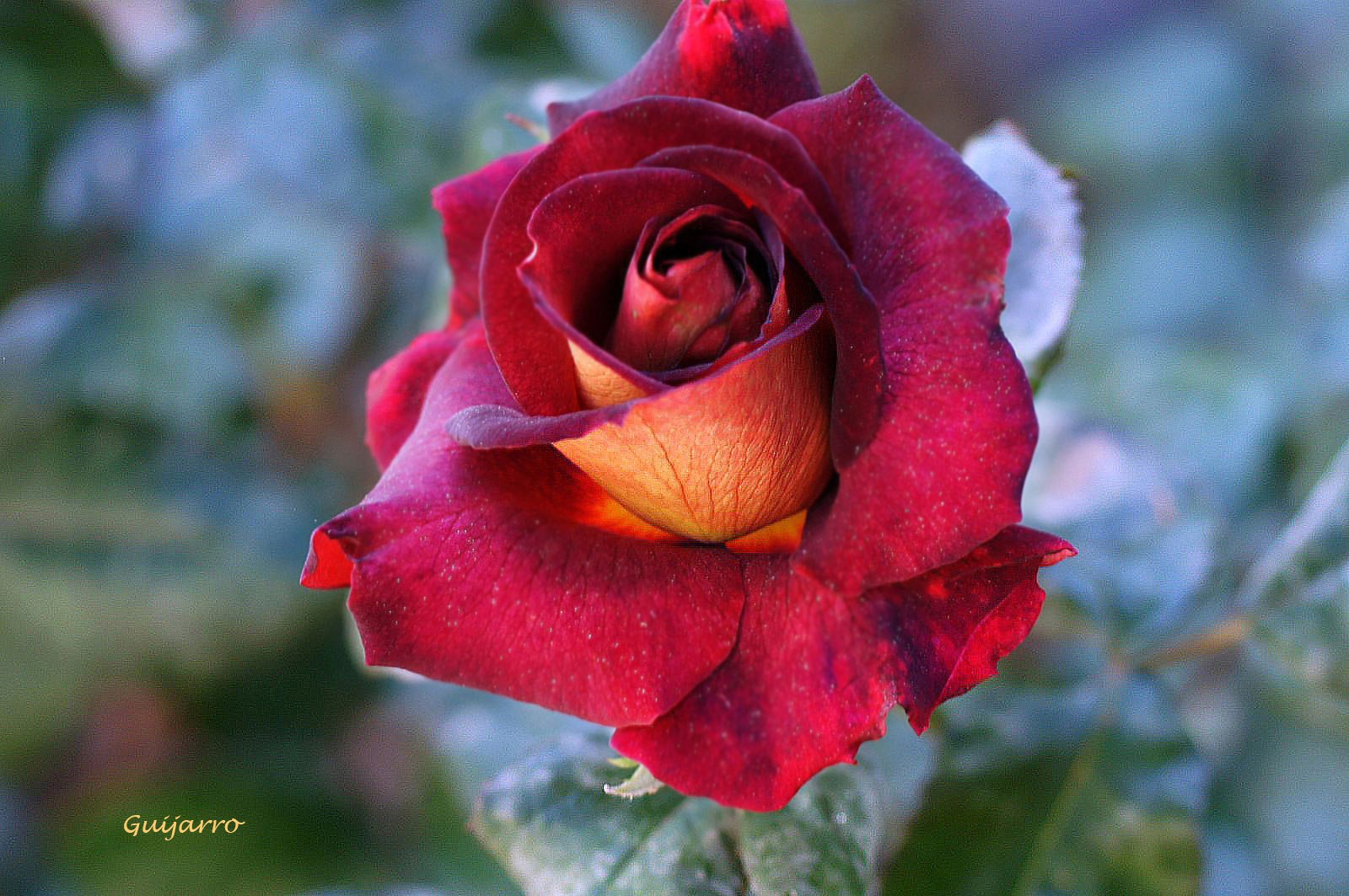      ...     ?...     ...     ...