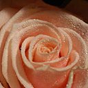 ���� Andrei, �������, 60 ��� - ��������� 13 ������ 2015 � ������ �����ۻ