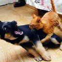 ���� ������, ������������, 32 ���� - ��������� 10 ������ 2016 � ������ �Xxx�