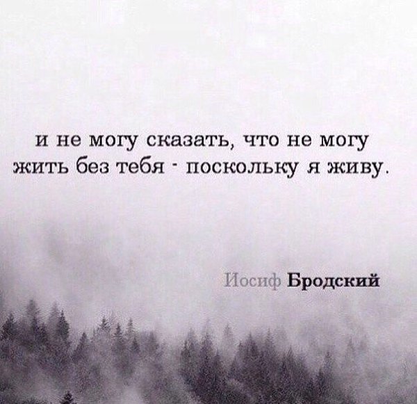 LIFE -  - 11  2016  22:29