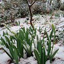  , , 60  -  29  2016     ,23.01.16.