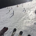 ���� ..........˸����......., �����, 49 ��� - ��������� 23 ������� 2016 � ������ ��������� 2016�