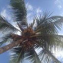  , - -  24  2015    2015