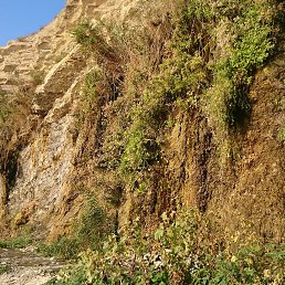 ������, ���������, 44 ����