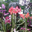 ���� ���������, ��������, 70 ��� - ��������� 5 ����� 2016 � ������ �������