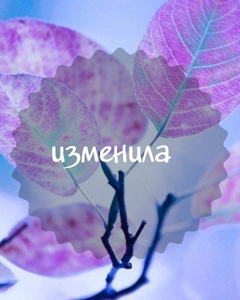   - 29  2016  21:56 - 3